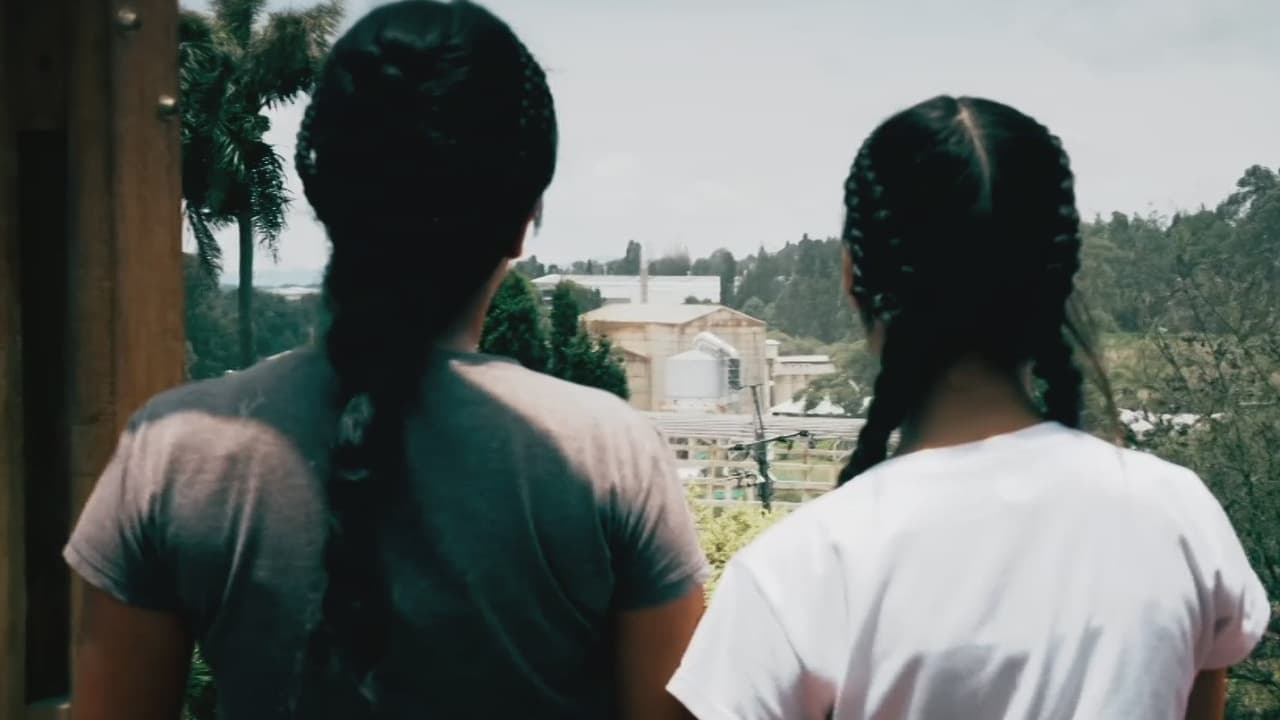 Episodio completo de Aquí y Ahora, domingo 17 de noviembre de 2024