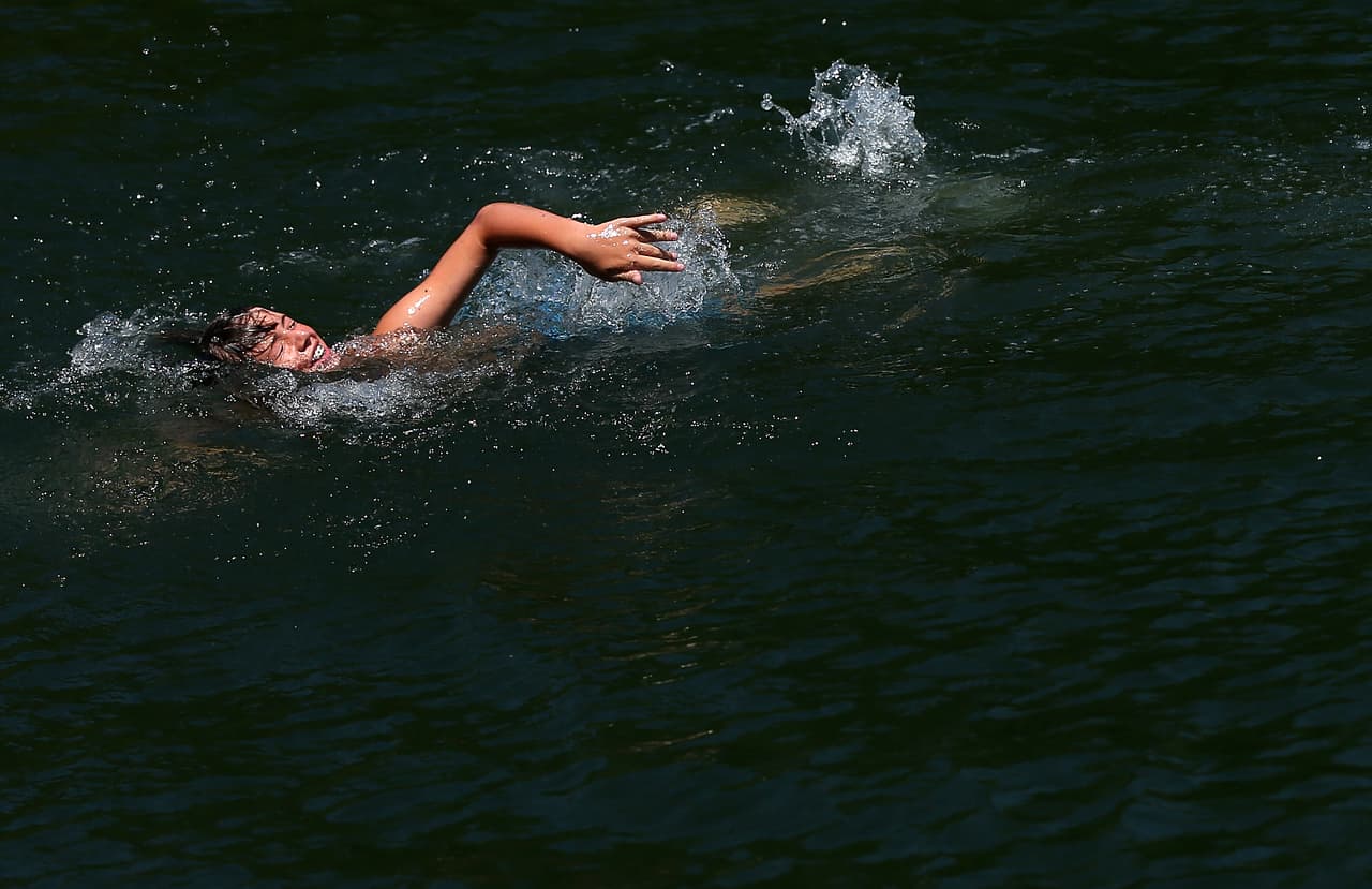 <a href="https://www.floridastateparks.org/parks-and-trails/rainbow-springs-state-park">Rainbow Springs State Park</a>:
<a href="https://www.timeout.com/miami/travel/natural-springs-near-miami" target="_blank">de acuerdo con TimeOut</a>, este agujero para nadar casi parece hecho por el hombre, con su fondo de piedra caliza y un agua tan clara que creerá que ha salido directamente de una manguera. Pero se trata de la cabecera hecha por la naturaleza del río Rainbow.