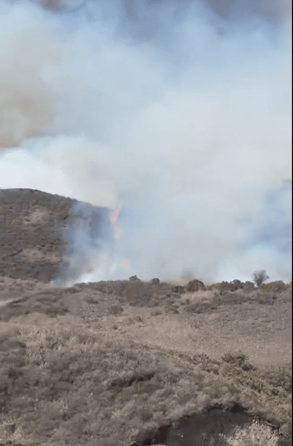 Los fuertes vientos de Santa Ana favorecieron la rápida expansión del incendio, que alcanzó al menos 250 acres durante las primeras horas de la emergencia. La causa del fuego no había sido determinada.