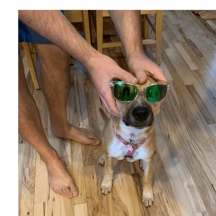 Lulu fue rescatada y adoptada para evitar ser sacrificada. "Ahora es nuestra consentida", dijo Iveth.