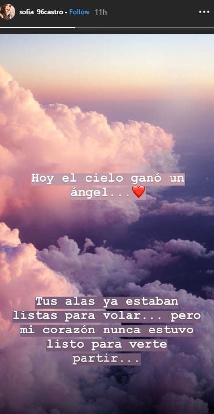 Por su parte, Sofía publicó en sus historias de Instagram: "Tus alas ya estaban listas para volar… pero mi corazón nunca estuvo listo para verte partir…".