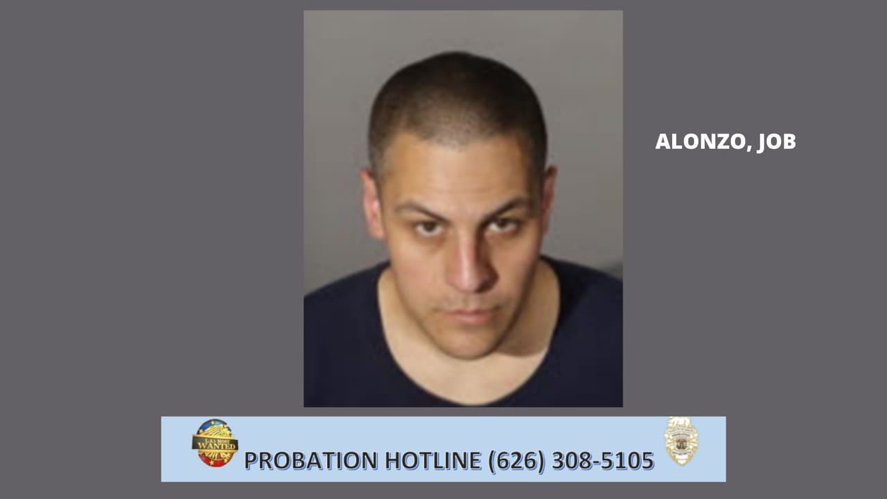 <b>Job Alonzo</b> es un pandillero documentado y tiene un extenso historial criminal adulto que comenzó a la edad de 18 años. Sus condenas incluyen portación de arma de fuego cargada, robo de identidad, robo, resistir al oficial de paz, fraude de cheques, hurto menor, asalto, posesión ilegal de municiones y recibir propiedad robada. Ha cumplido múltiples condenas en prisión estatal, siendo la más larga 64 meses de plazo por robo de vehículo. Alonzo fue liberado de la prisión estatal a la supervisión del Departamento de Libertad Condicional del Condado de Los Ángeles el 30 de agosto de 2020.
<br>
<br>
<b>Marcas/características distintivas</b>: Tatuajes en cuello, pecho, ambos brazos y torso izquierdo
<br>Pandilla: SOUTHERN REGION
<br>Fue visto por última vez en el área de Pomona.