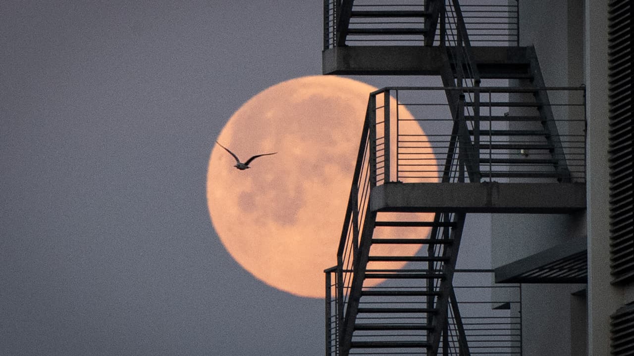 Las redes sociales se llenaron de imágenes de la luna llena. Albert Martínez, jefe de meteorología de Univision, explica qué ocurre para que la luna sea más visibles en algunos momentos y por qué las súperlunas despiertan tanto interés. 
<b><a href="https://www.univision.com/noticias" target="_blank">Ver más noticias aquí. </a></b>
