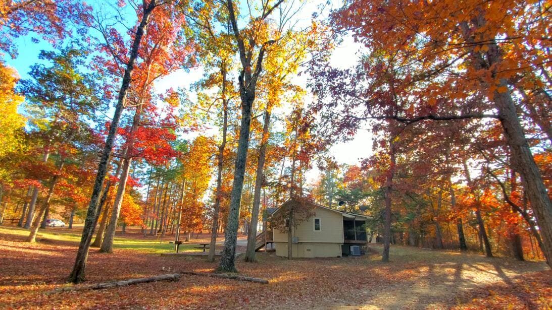 Amplía tu estadía en una de las cabañas o yurtas que incluyen futones en el interior, fogatas en el exterior y duchas con agua caliente ubicadas en el centro.