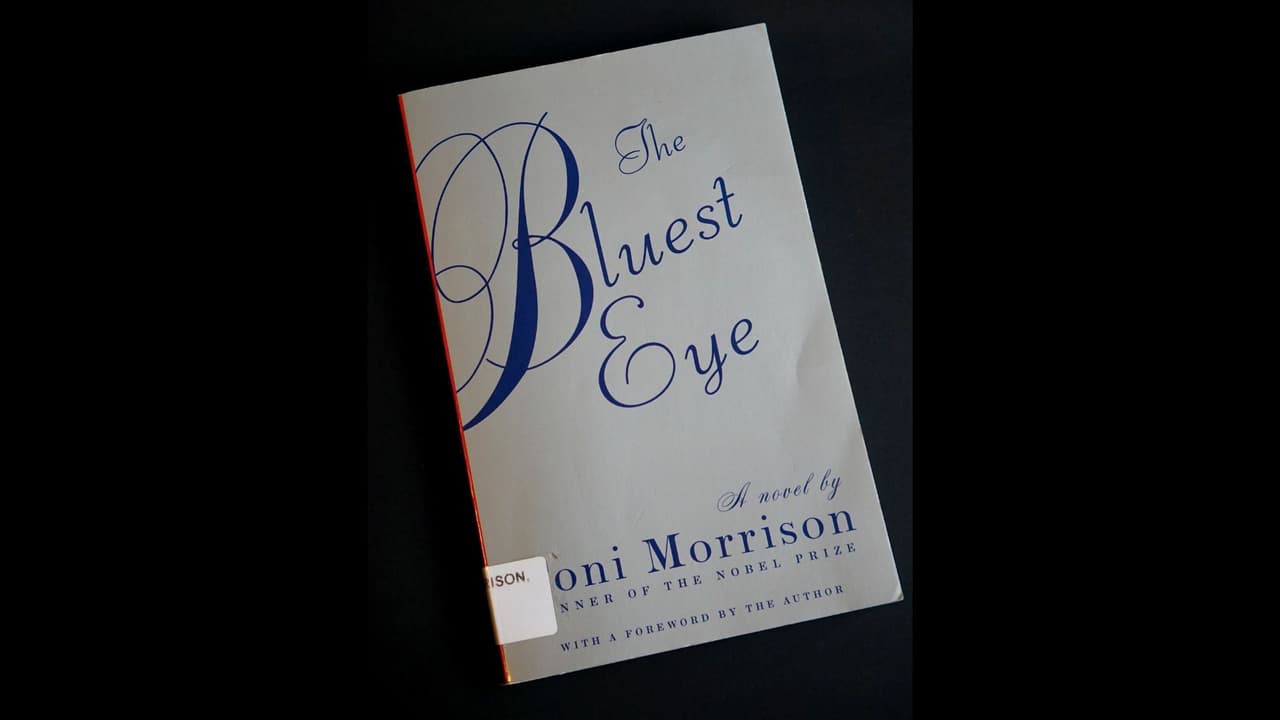 <h3 class="cms-H3-H3">6. The Bluest Eye</h3>
<br>
<br>
<i>The</i> 
<i>Bluest Eye</i> es un libro publicado en 1970 por Toni Morrison, autora estadounidense. La novela transcurre en Lorain, Ohio, y habla sobre Pecola, una niña afroamericana, de 11 años, que tras el acoso que sufre desarrolla complejos y la hacen pensar que sería mejor tener los ojos azules como "las personas blancas". 
<br>
<br>El libro
<b> aborda temas polémicos como el racismo, incesto y abuso infantil y así fue bien recibido por la crítica en su primera publicación.</b> La autora recibió en 1993 el Premio Nobel por sus aportaciones a la literatura. 
<br>