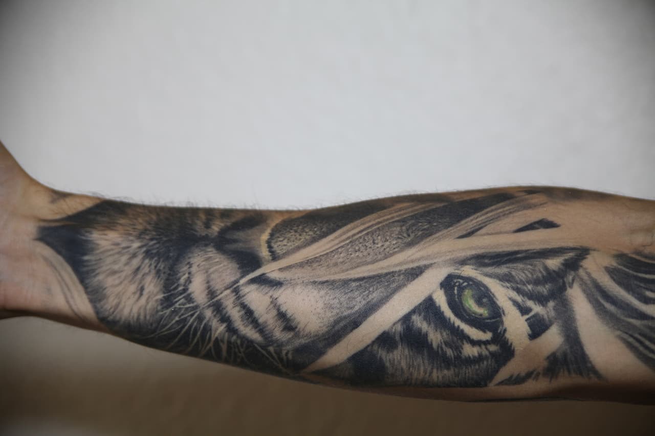 Como le gustaba cómo le quedaban los felinos a este artista de Pereira, decidió tatuarse otro tigre con él.