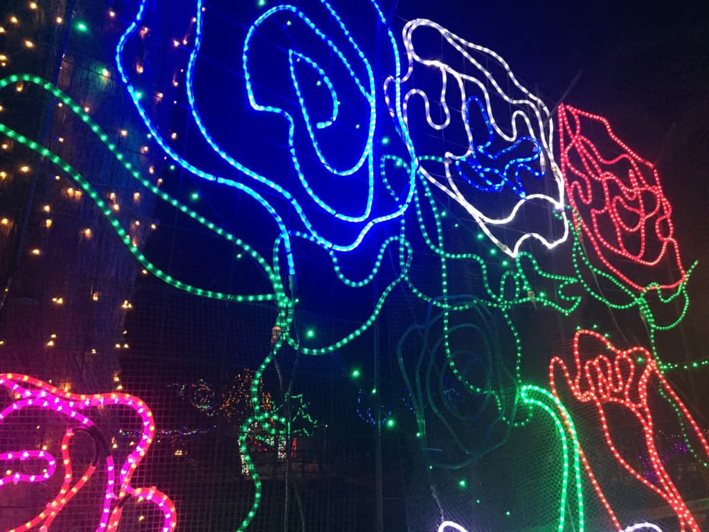 Rosas de coloresa en luces.