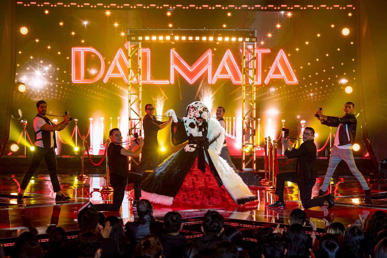 La primera eliminada de la noche fue Dálmata. A pesar de su elegancia no pudo convencer a los investigadores y al público para permanecer en competencia por lo menos una semana más.
<br>