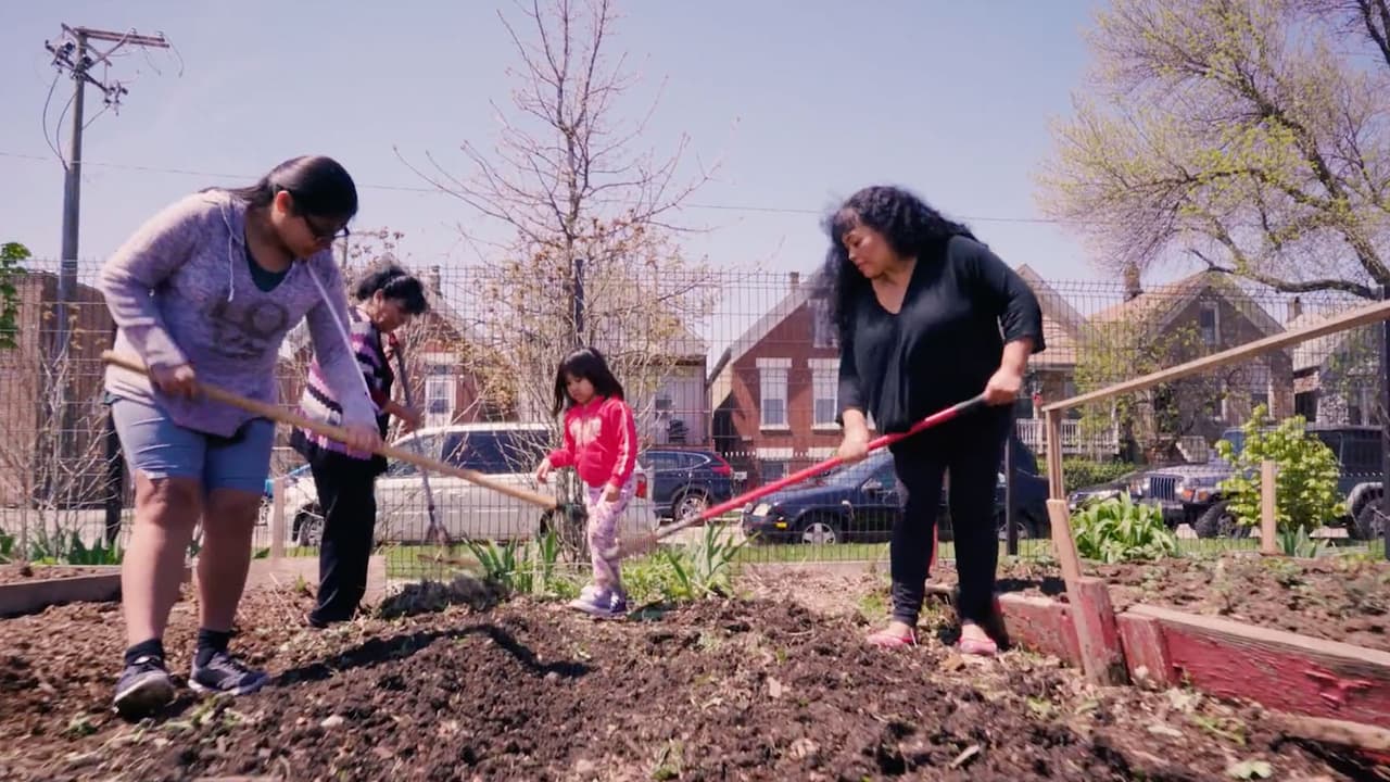 Es decir, todo trabajador es su propio jefe. Cada decisión tomada en cuanto a la granja y sus mejorías en la comunidad que lo rodea va a ser hecho por los trabajadores.