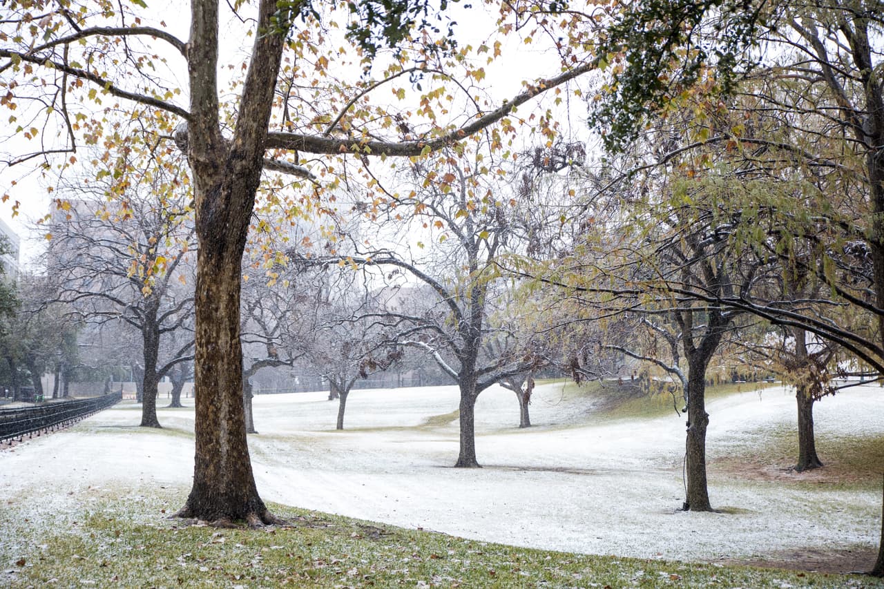 Histórica tormenta invernal en Texas: comienza a registrarse nieve en Austin