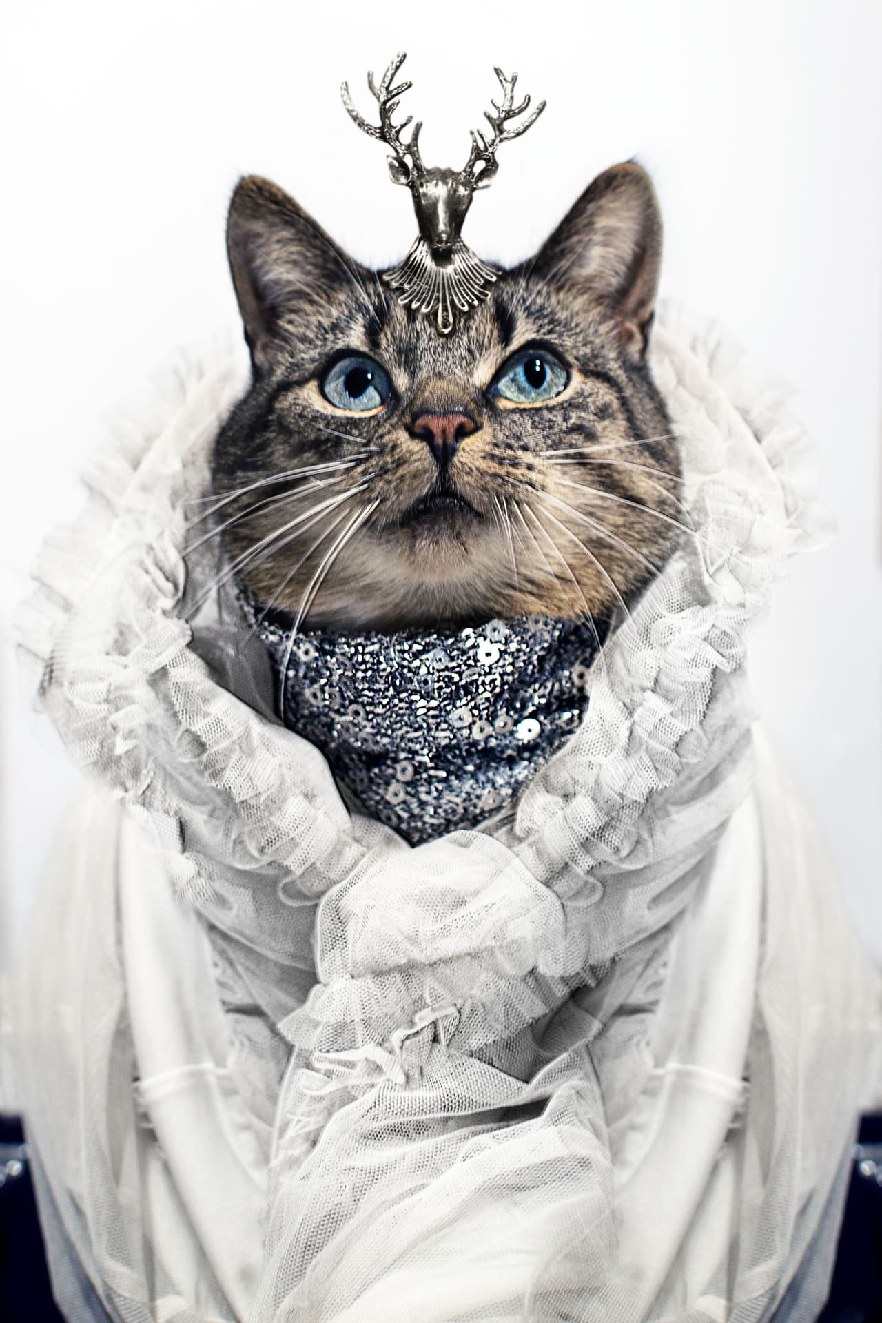 ¿Qué te parece este conjunto? ¿Crees que resalta su belleza natural?