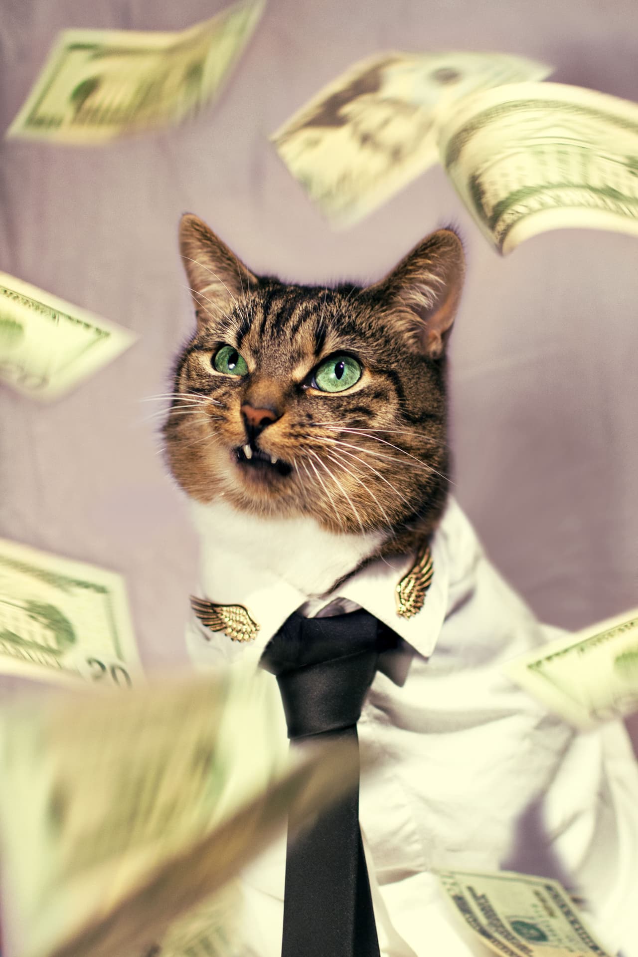 Jason McGroarty también apuntó que no dejarán de hacer estos retratos con Hummus, pues su relación se vuelve más estrella y a sus fans les encanta.