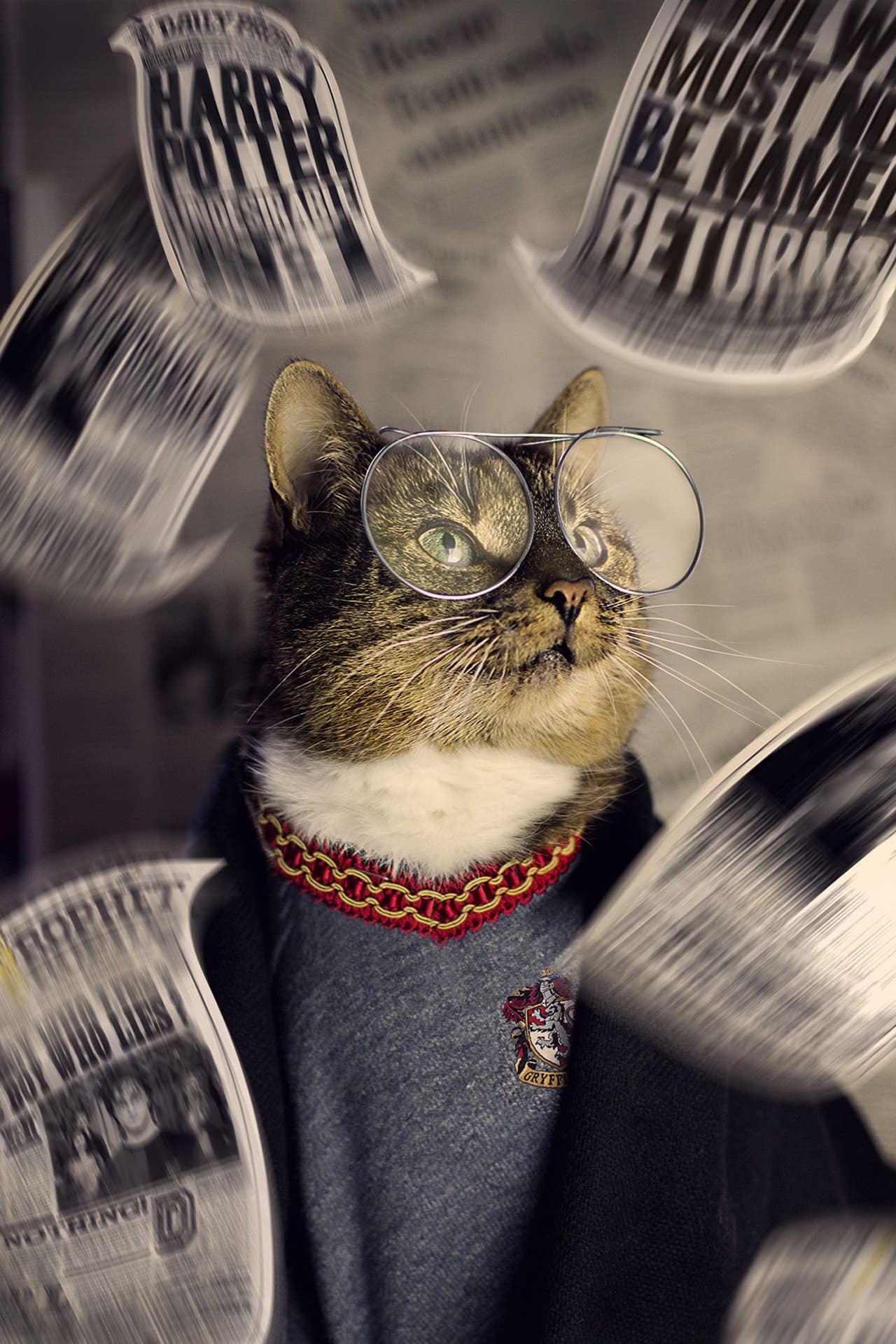 “Vestí a mi gato como una diva fashionista y, ¡empecé a hacerle increíbles retratos!”, comentó el hombre.