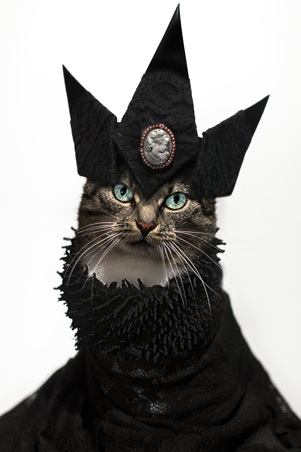 Un fotógrafo creó una serie de imágenes fantásticas al vestir a su gato con ‘haute couture’.