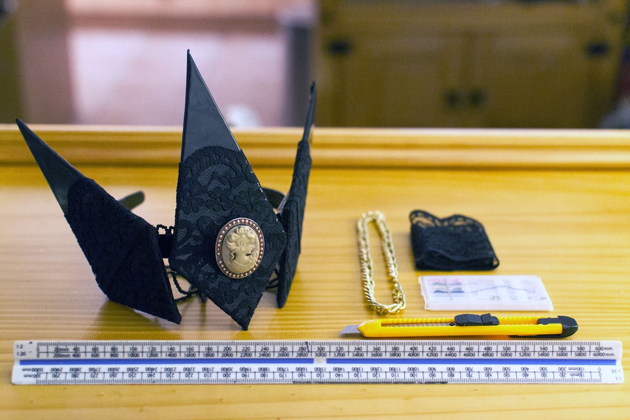 Como el fotógrafo de 22 años no tenía nada de eso a la mano, ¡decidió vestir a su gato!