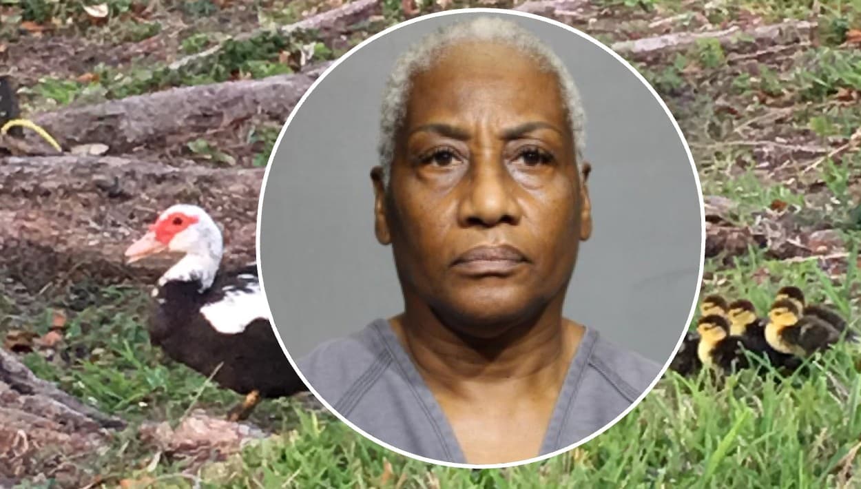 Atropella a los patitos que ensuciaron su patio y enfrenta 11 cargos de crueldad animal en Jacksonville