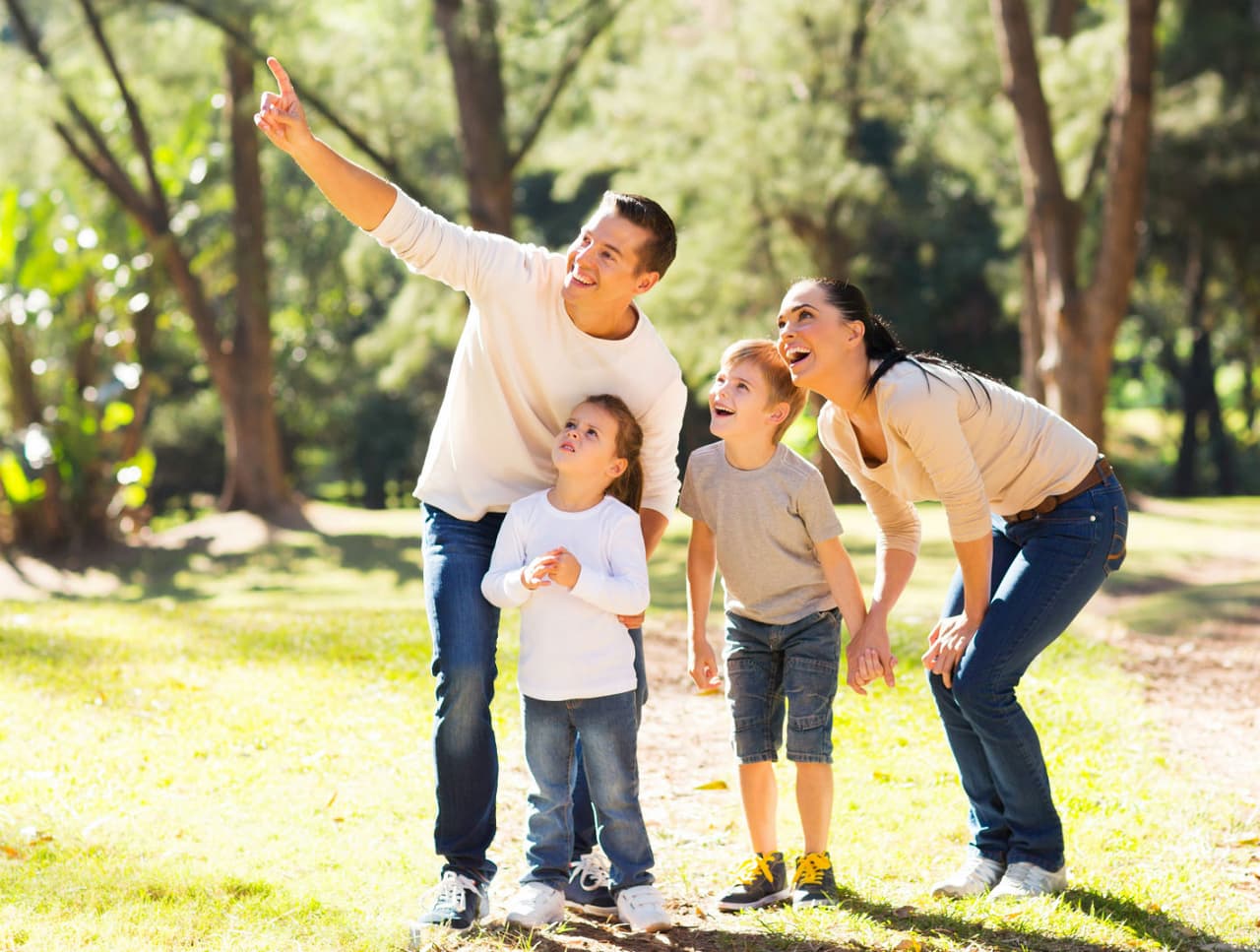 Mira mariposas y pájaros: La primavera también es una estación perfecta para llevar a los chicos a ver el ciclo de vida de las mariposas y a ver pájaros. Mira el calendario del zoo cercano o de parques de tu ciudad o estatales para ver qué programas de este tipo tienen disponibles.