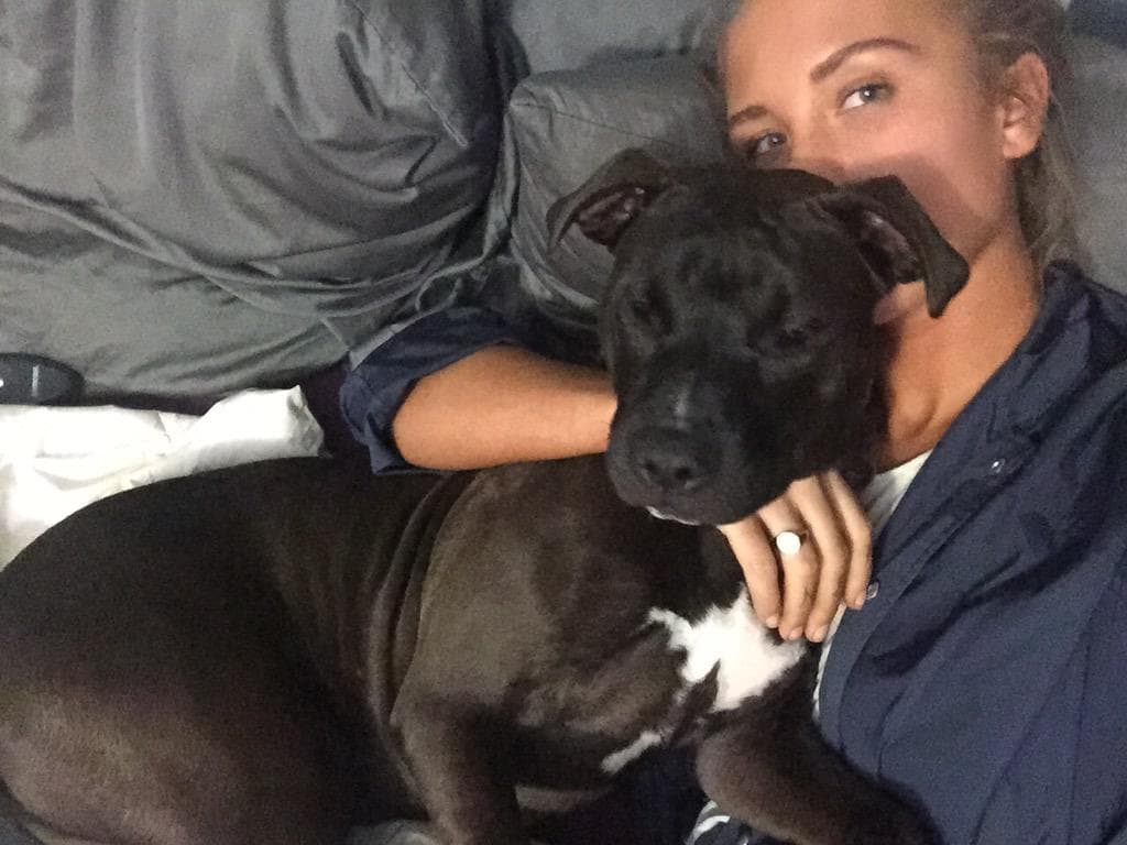 “Uno de mis bebes, Bullit”-Niykee Heaton.