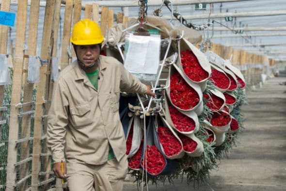 BBB implica una adecuada capacidad para cumplir los compromisos financieros, aunque susceptible ante condiciones económicas adversas.