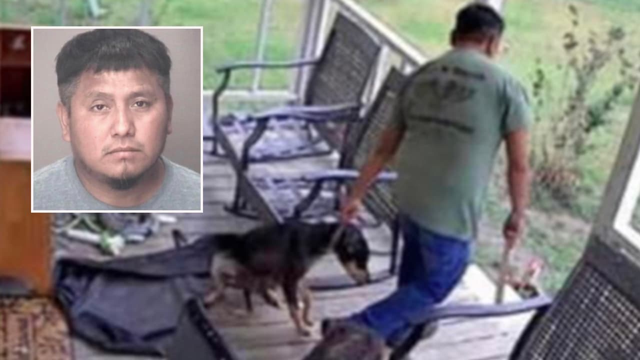 Familia hispana denuncia que su vecino atacó a su perra que amamantaba a sus cachorros