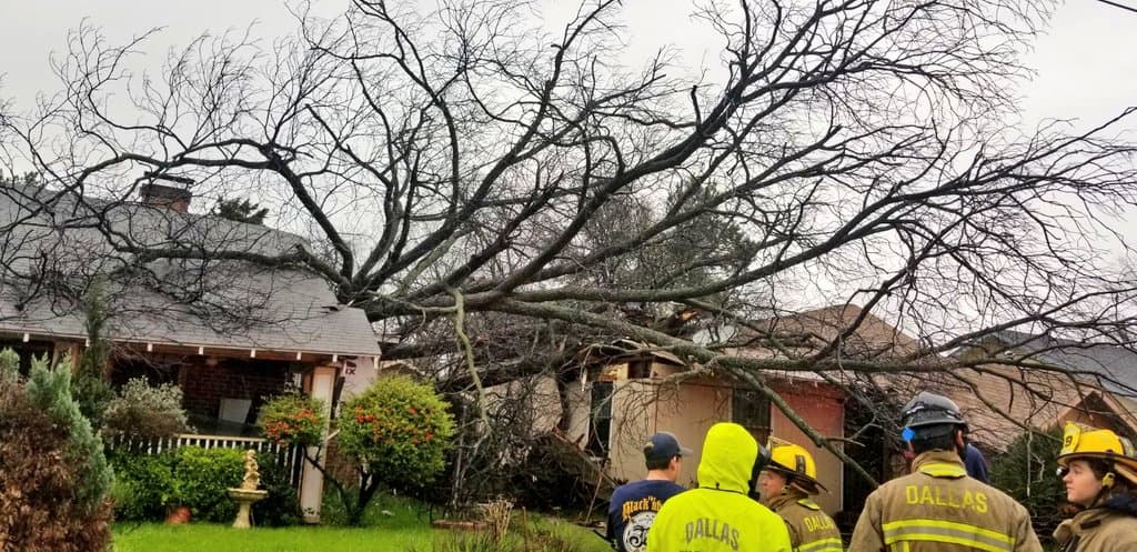 A pesar de los daños a la casa, nadie resultó herido según reportó Dallas Fire Rescue.