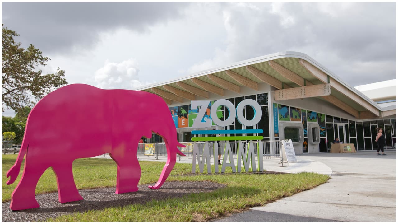 Abren investigación tras 4 días de amenazas de bomba en el zoológico de Miami