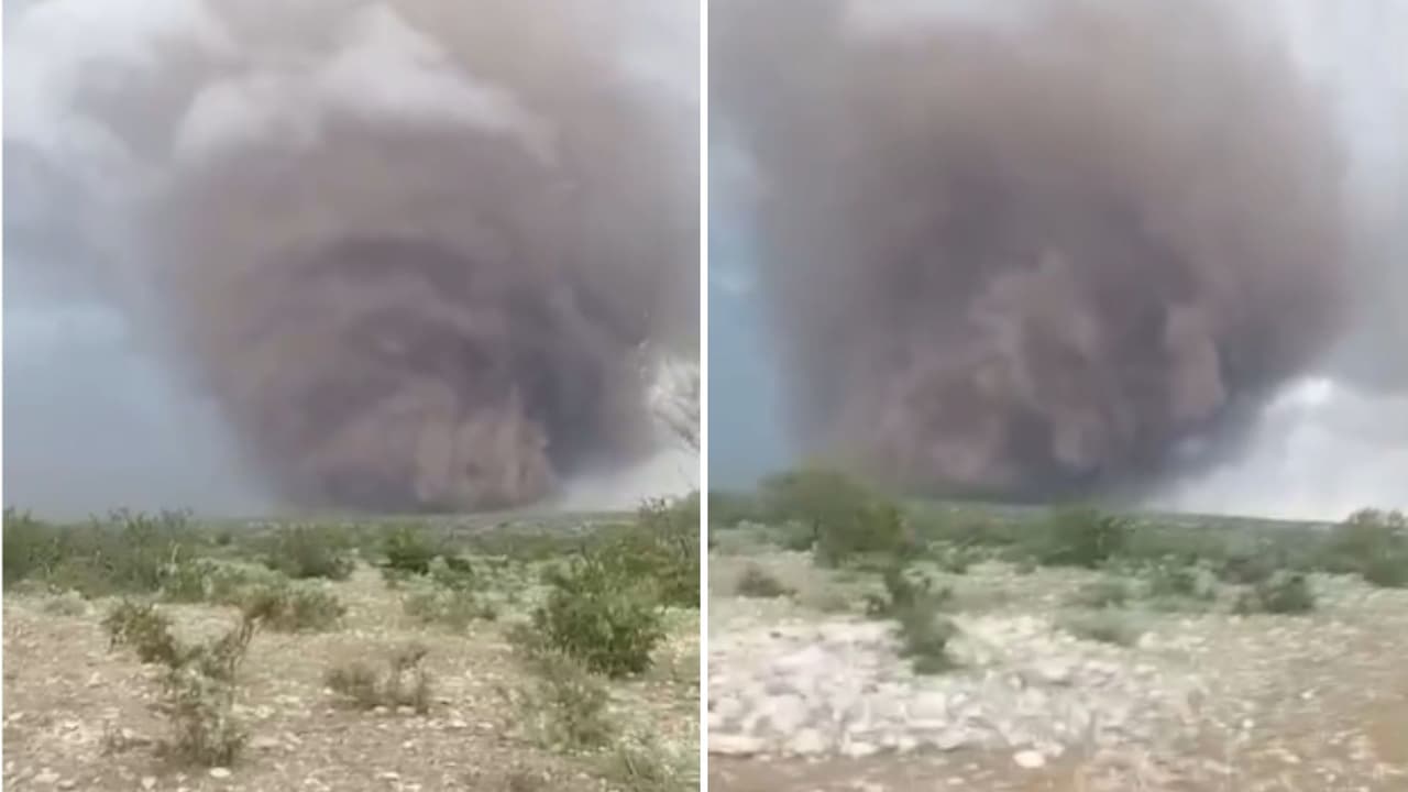 Durante el paso de la tormenta, algunos habitantes captaron escenas impactantes mientras animales huían de la zona y varios vehículos intentaban salir del área afectada en medio de la baja visibilidad provocada por el polvo.