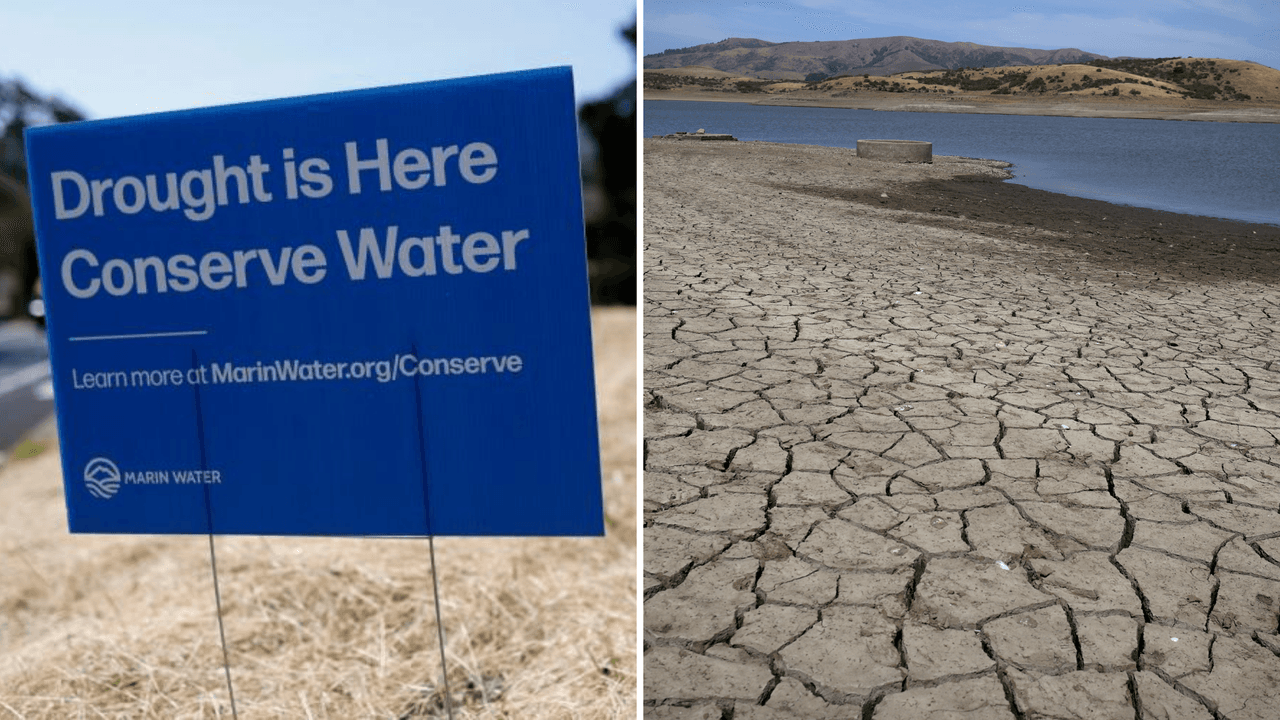 "Agricultura en crisis": sequía extrema pone en riesgo cosechas y trabajos en el sur de California