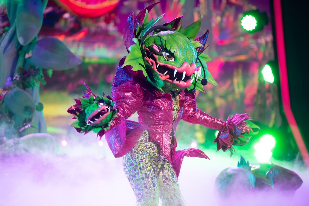 Posteriormente conocimos a Carnívora, una planta muy simpática y llena de energía.