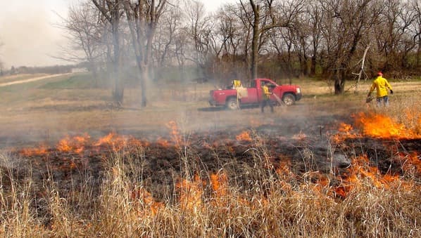 El llamado carbón marrón reduce la producción de ozono y agrava el calentamiento global