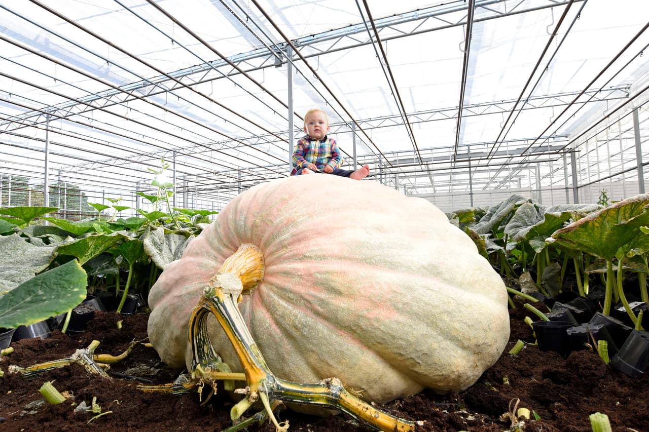 ¡Y el ganador fue…! ¡El par de hermanos!