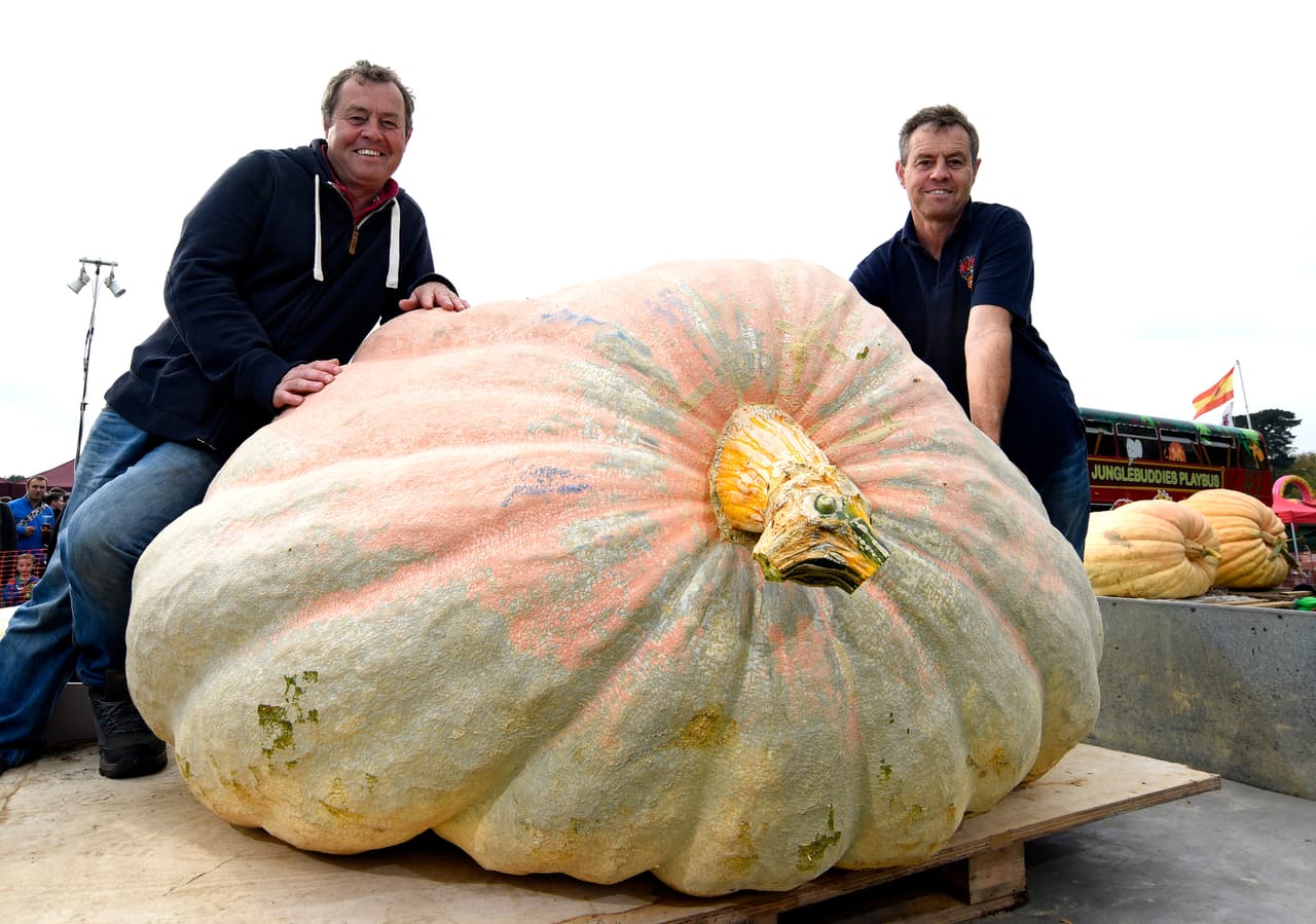 El Autumn Pumpkin Festival en Netley, Hants, les dio un cheque por 774 dólares.