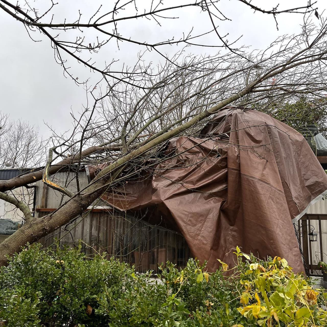 <br>Noticias 23 se encuentra en camino hacia el área afectada.
<br>