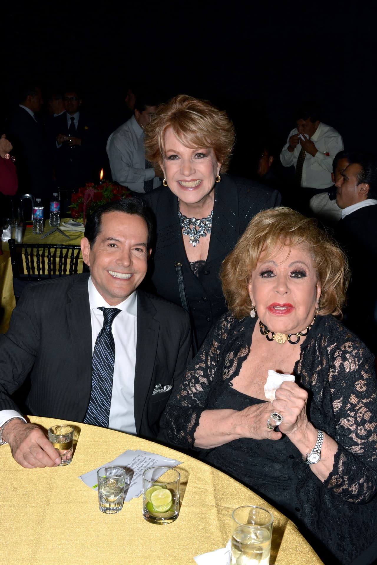 La primera actriz Silvia Pinal y los periodistas Maxime Woodside y Juan José Origel fueron los encargados de conducir la presentación de la serie ante los medios de comunicación.