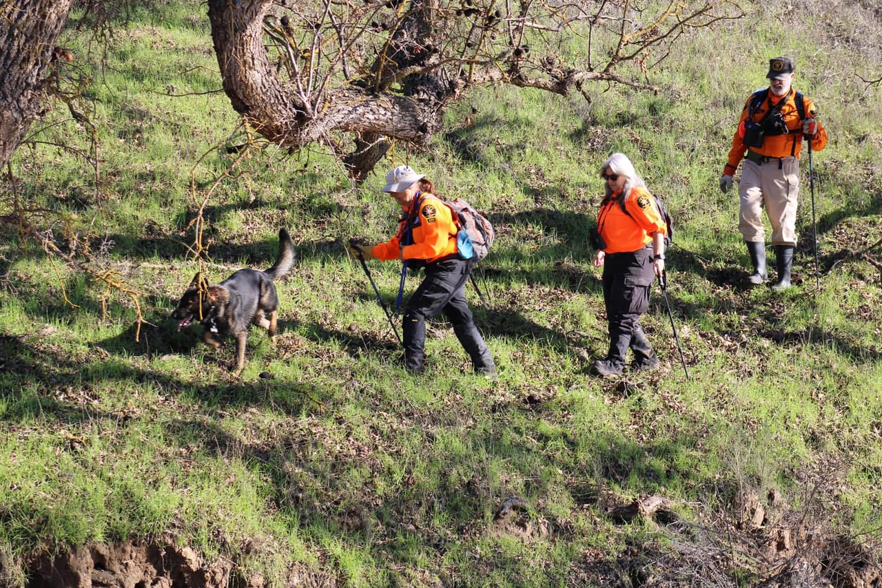 Perros K9 se han unido al equipo para el rastreo.