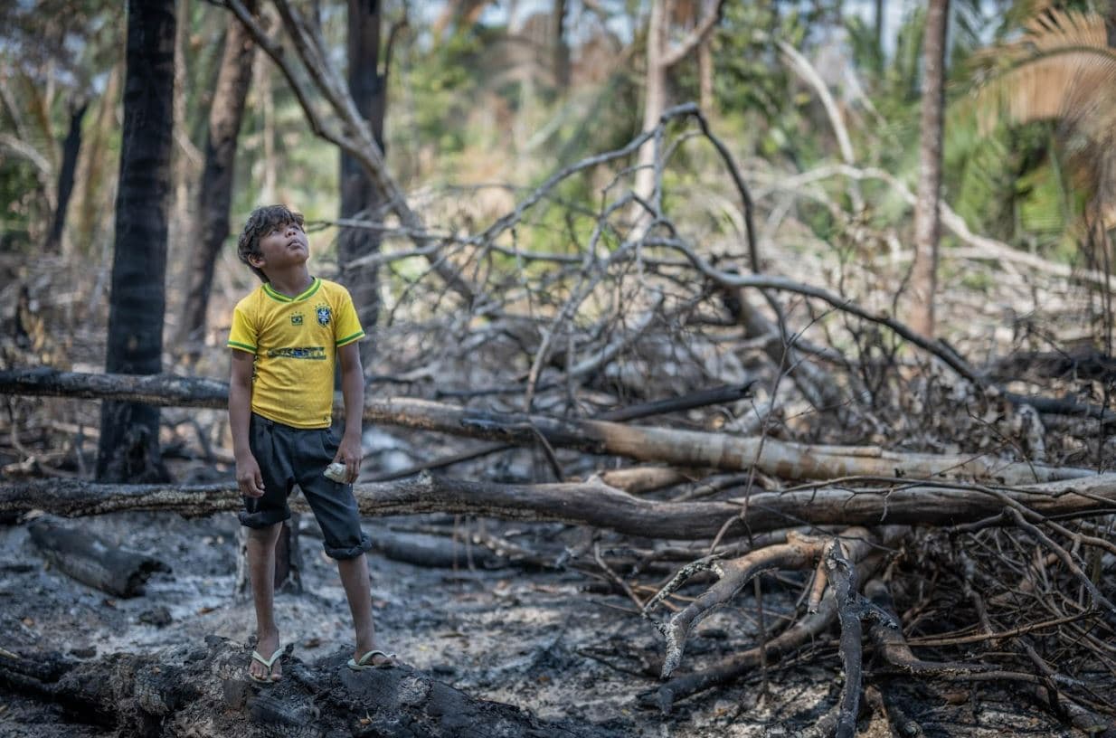 Amazonas, crónica gráfica de destrucción y resistencia en tierra karipuna en Brasil