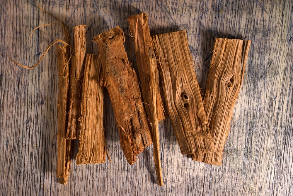 El grupo más importante de principios activos en la composición química de la uña de gato es el de los alcaloides, unos compuestos básicos, nitrogenados y, que generalmente, están dotados de actividades marcadas pero también de considerable toxicidad.