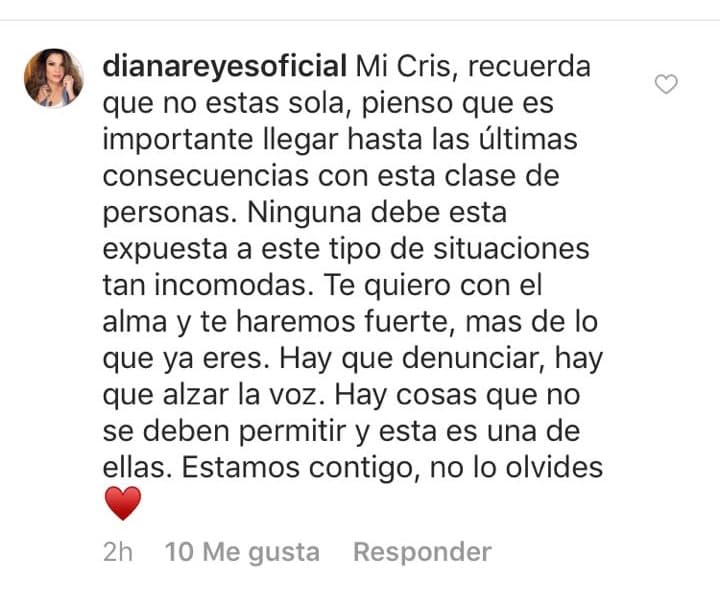 Algunos famosos han mostrado apoyo a Cristina, como su amiga, la también cantante Diana Reyes: “Hay que denunciar, hay que alzar la voz. Hay cosas que no se deben permitir y esta es una de ellas”.
