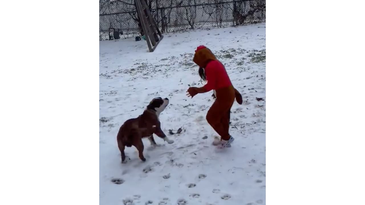 Nora Cocino nos comparte imágenes de su niña jugando con su perrito en el jardín entre el hielo.