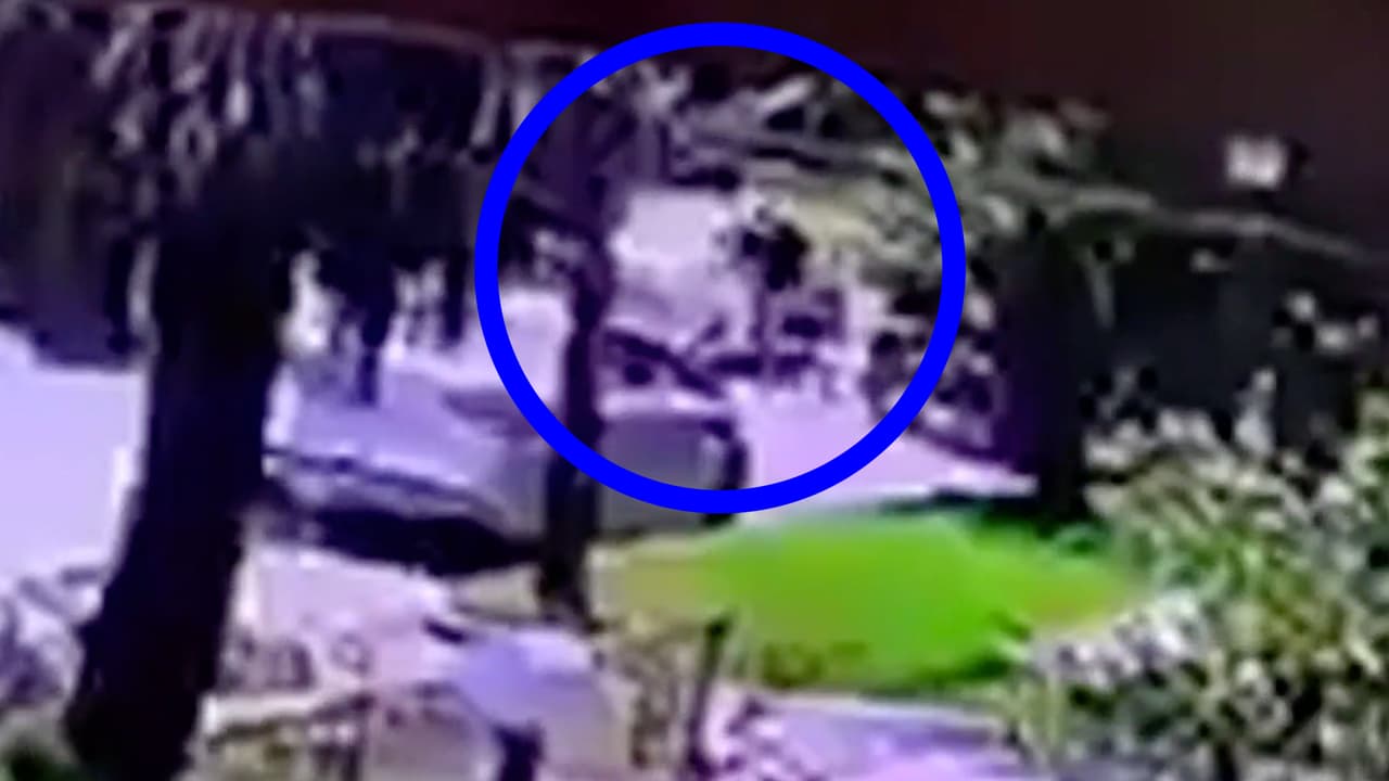 La última vez que fue asaltado, dos hombres bajaron de un automóvil BMW color blanco, le quitaron las ganancias del día, 80 dólares, y le propinaron un golpe.