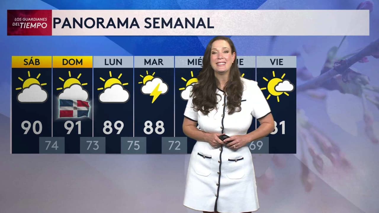 Pronóstico del tiempo hoy en Nueva York: Riesgo de tiempo severo leve; el termómetro alcanzará 91 °F