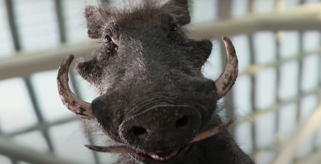<b>Pumbaa</b>
<br>Entre las caricaturas el tratamiento CGI está de moda, o al menos así lo dejan ver Dale y el jabalí Pumbaa, estrella de 'El Rey León'.
<br>