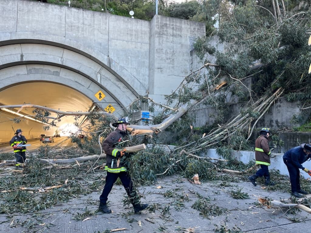 Bomberos de San Francisco trabajan para remover un árbol que cayó sobre lo carriles del Puente de la Bahía en Treasure Island.