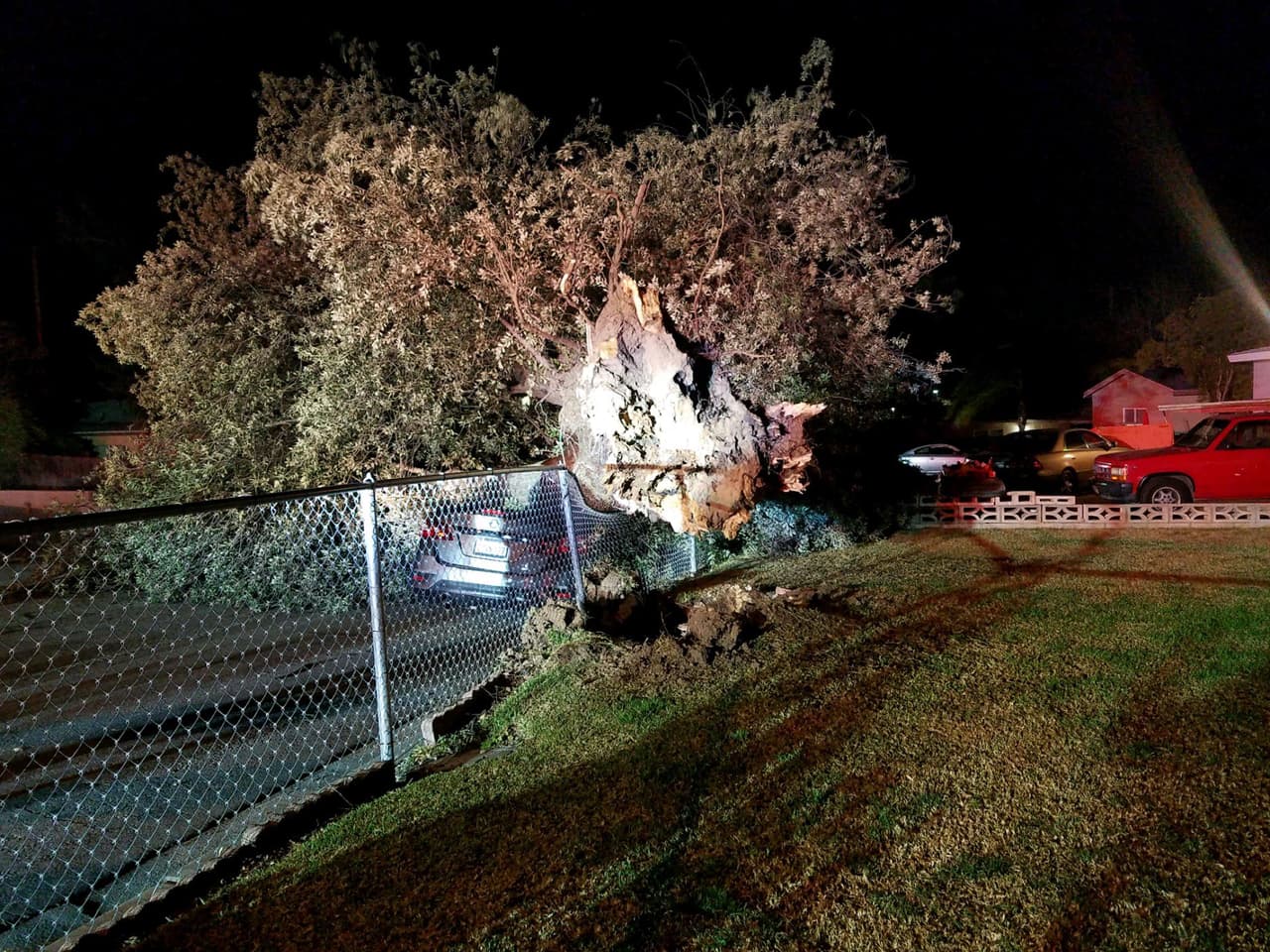 De acuerdo con la alerta del NWS los impactos que se esperaban eran principalmente por la caída de árboles y líneas eléctricas.