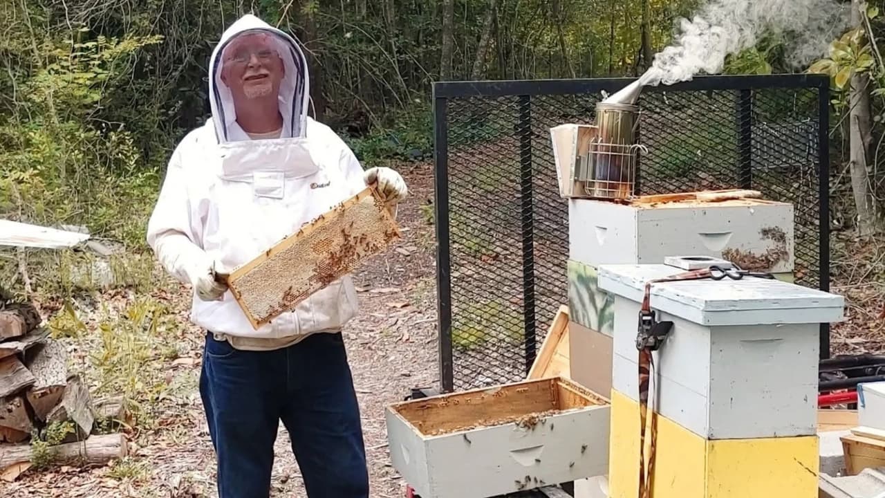 Tampoco cree que el 
<b>kudzu sea la causa</b>. Aunque la flor existe en la región, no la relaciona con el color del néctar y a su alrededor hay muchas otras flores que las abejas aprovechan. Además, el kudzu existe en todas partes del mundo y esta miel se produce 
<b>en la parte más calurosa del verano</b>, cuando hay pocas flores disponibles.