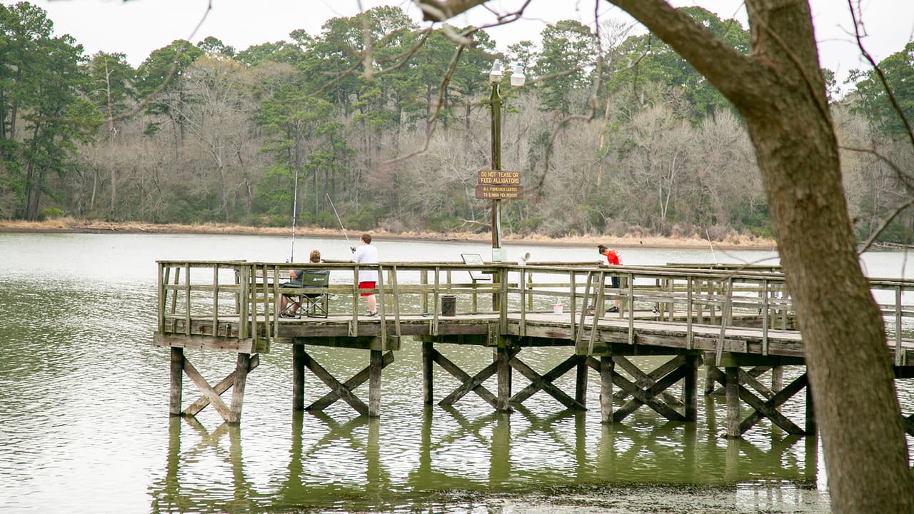 También pueden disfrutar de un día de pesca.