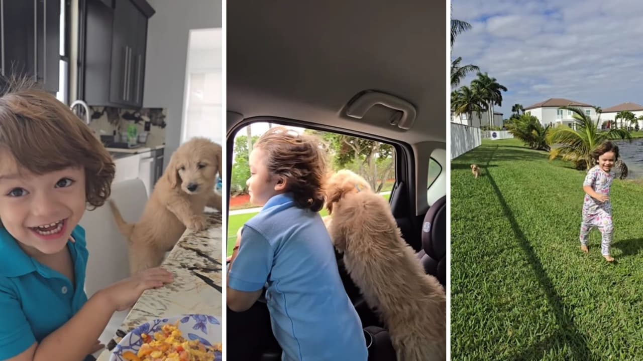 André, hijo de Sherlyn, ahora comparte con Joy.