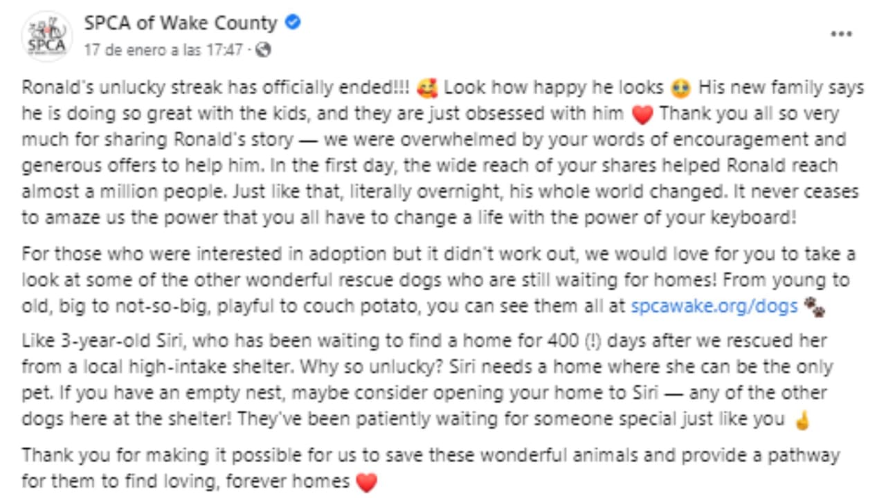 Refugio de animales actualizó el estado de Ronald en Facebook