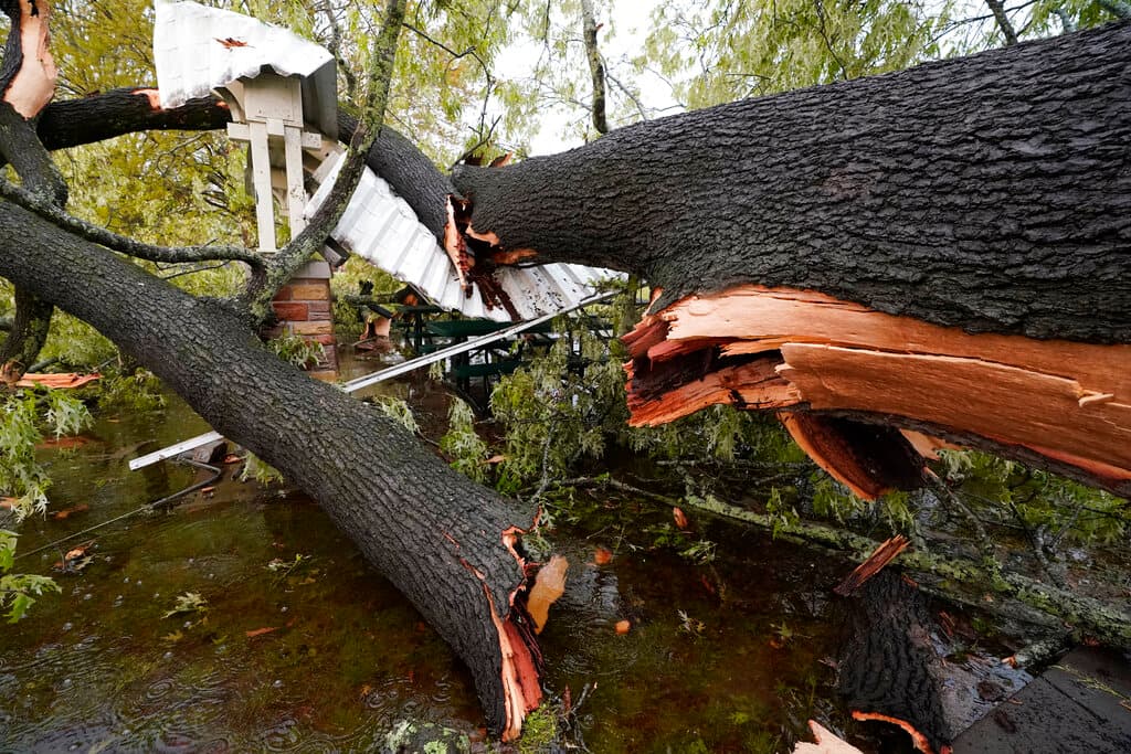 <a href="https://www.univision.com/noticias/meteorologia/tornado-estados-sur-apagones-heridos-arkansas-tennessee-mississippi-alabama-louisiana-fotos" target="_blank">Fuertes tormentas acompañadas de tornados y vientos huracanados provocaron heridas a varias personas,</a> dañaron viviendas y negocios y derribaron cables eléctricos en Mississippi, Alabama, Arkansas, Louisiana y Tennessee durante la noche del miércoles.