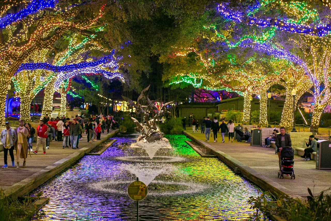 Las personas podrán tomarse un chocolate caliente mientras pasean por el bosque iluminado del Zoológico.